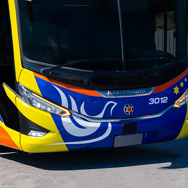 Detalhe da frente do ônibus com a pomba branca pintada sobre o azul